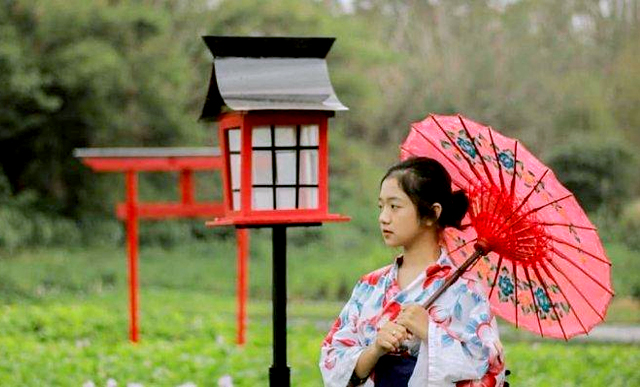 Destinasi Wisata Jepang yang Wajib Dikunjungi